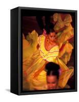 Floor Show at Xcaret, Riviera Maya, Mexico-Greg Johnston-Framed Stretched Canvas