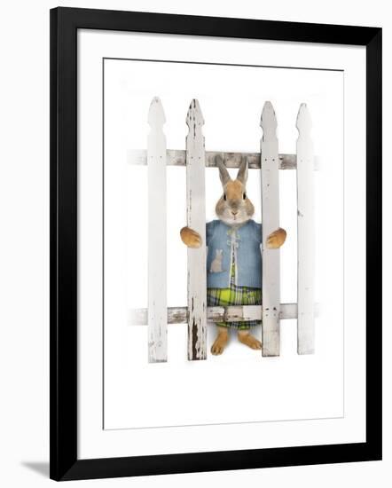 Flopsy-J Hovenstine Studios-Framed Giclee Print