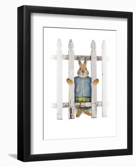 Flopsy-J Hovenstine Studios-Framed Premium Giclee Print