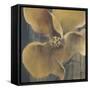 Flor Amarilla-Terri Burris-Framed Stretched Canvas