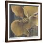 Flor Amarilla-Terri Burris-Framed Art Print