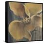 Flor Amarilla-Terri Burris-Framed Stretched Canvas