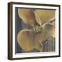 Flor Amarilla-Terri Burris-Framed Art Print