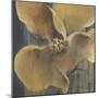 Flor Amarilla-Terri Burris-Mounted Art Print