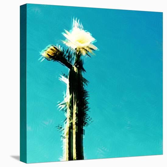 FLOR DE CACTUS-Sylver-Stretched Canvas