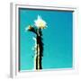 FLOR DE CACTUS-Sylver-Framed Giclee Print