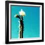 FLOR DE CACTUS-Sylver-Framed Premium Giclee Print