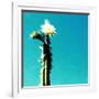 FLOR DE CACTUS-Sylver-Framed Giclee Print