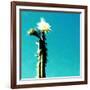 FLOR DE CACTUS-Sylver-Framed Giclee Print