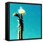 FLOR DE CACTUS-Sylver-Framed Stretched Canvas