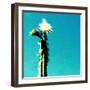 FLOR DE CACTUS-Sylver-Framed Giclee Print