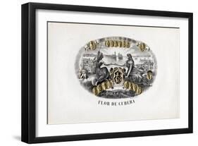 Flor De Cubeba-Art Of The Cigar-Framed Giclee Print