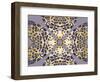 Flor de Lila-Belen Mena-Framed Giclee Print