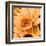 Flor de Loto I-Nelly Arenas-Framed Art Print