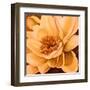 Flor de Loto I-Nelly Arenas-Framed Art Print