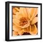 Flor de Loto I-Nelly Arenas-Framed Art Print