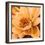 Flor de Loto I-Nelly Arenas-Framed Art Print