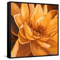 Flor de Loto II-Nelly Arenas-Framed Stretched Canvas