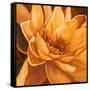 Flor de Loto II-Nelly Arenas-Framed Stretched Canvas