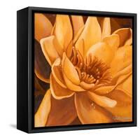 Flor de Loto II-Nelly Arenas-Framed Stretched Canvas