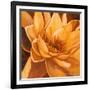 Flor de Loto II-Nelly Arenas-Framed Art Print