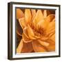 Flor de Loto II-Nelly Arenas-Framed Art Print