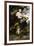 Flora. 1883-Ferdinand Keller-Framed Giclee Print