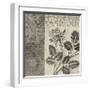 Flora Antiqua I-Paula Scaletta-Framed Giclee Print