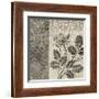 Flora Antiqua I-Paula Scaletta-Framed Giclee Print