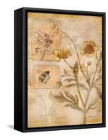 Flora Bumble Bee-Paul Brent-Framed Stretched Canvas