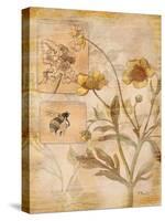 Flora Bumble Bee-Paul Brent-Stretched Canvas