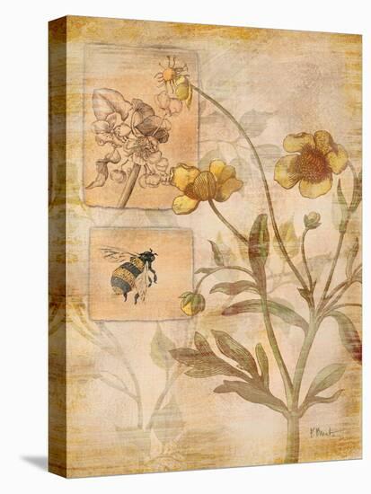 Flora Bumble Bee-Paul Brent-Stretched Canvas