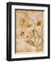 Flora Bumble Bee-Paul Brent-Framed Art Print