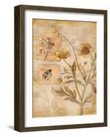 Flora Bumble Bee-Paul Brent-Framed Art Print