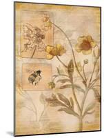 Flora Bumble Bee-Paul Brent-Mounted Art Print