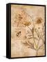 Flora Bumble Bee-Paul Brent-Framed Stretched Canvas