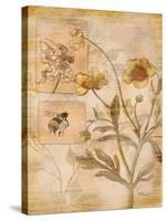 Flora Bumble Bee-Paul Brent-Stretched Canvas