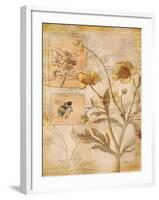 Flora Bumble Bee-Paul Brent-Framed Art Print