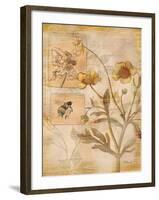 Flora Bumble Bee-Paul Brent-Framed Art Print