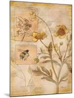 Flora Bumble Bee-Paul Brent-Mounted Art Print