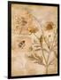 Flora Bumble Bee-Paul Brent-Framed Art Print