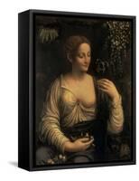 Flora, c.1520-Francesco Melzi-Framed Stretched Canvas