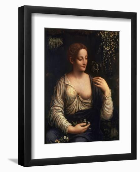 Flora, C1510-C1515-Francesco Melzi-Framed Giclee Print