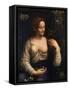 Flora, C1510-C1515-Francesco Melzi-Framed Stretched Canvas