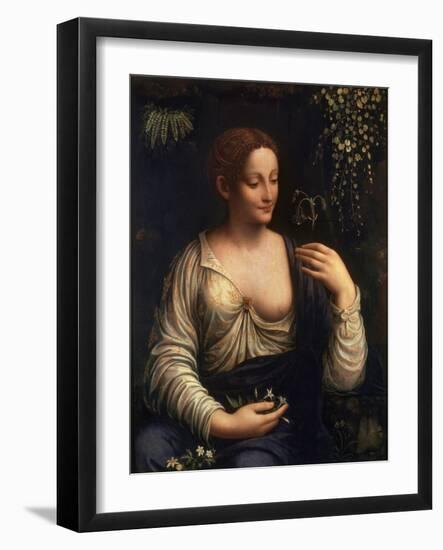 Flora, C1510-C1515-Francesco Melzi-Framed Giclee Print