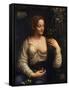 Flora, C1510-C1515-Francesco Melzi-Framed Stretched Canvas