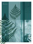 Fern 02-Flora Danica-Art Print