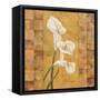 Flora del Rey I-Paul Brent-Framed Stretched Canvas
