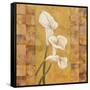 Flora del Rey I-Paul Brent-Framed Stretched Canvas