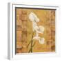 Flora del Rey I-Paul Brent-Framed Art Print